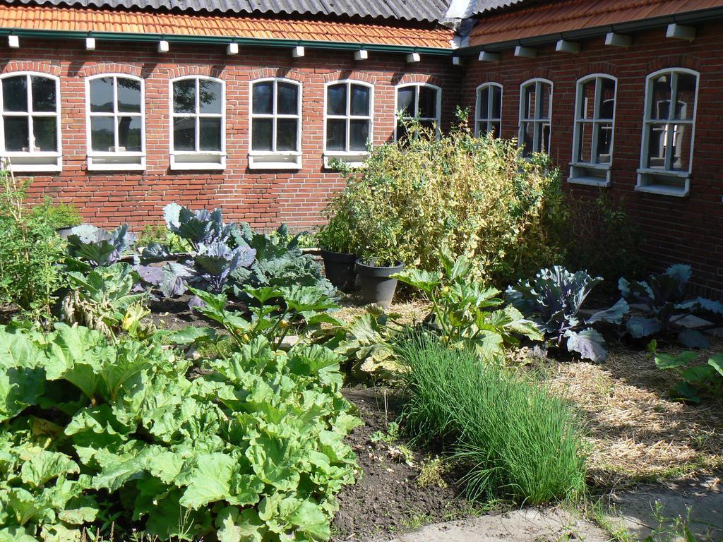 Groningen Buiten B&B Zuidhorn Exterior foto